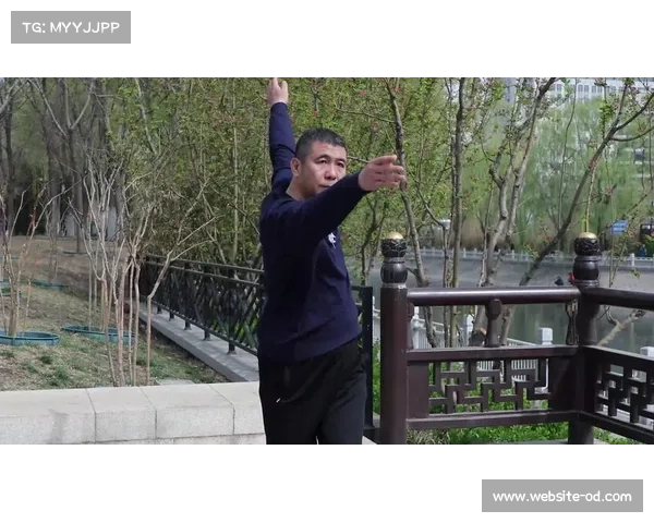 传统武术通背拳45支流派标准化困境与竞赛体系统一探索 传统武术通背拳45支流派标准化困境与竞赛体系统一探索